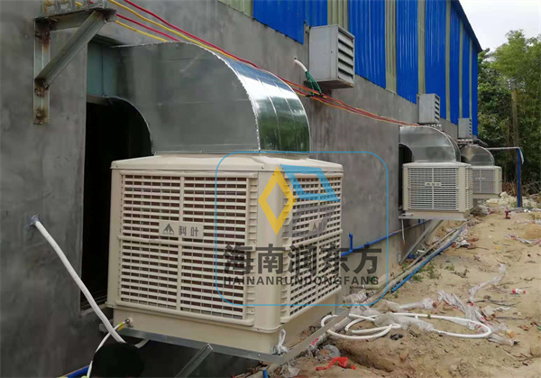 1650940343100517.jpg 文昌东郊椰子加工厂_副本.jpg